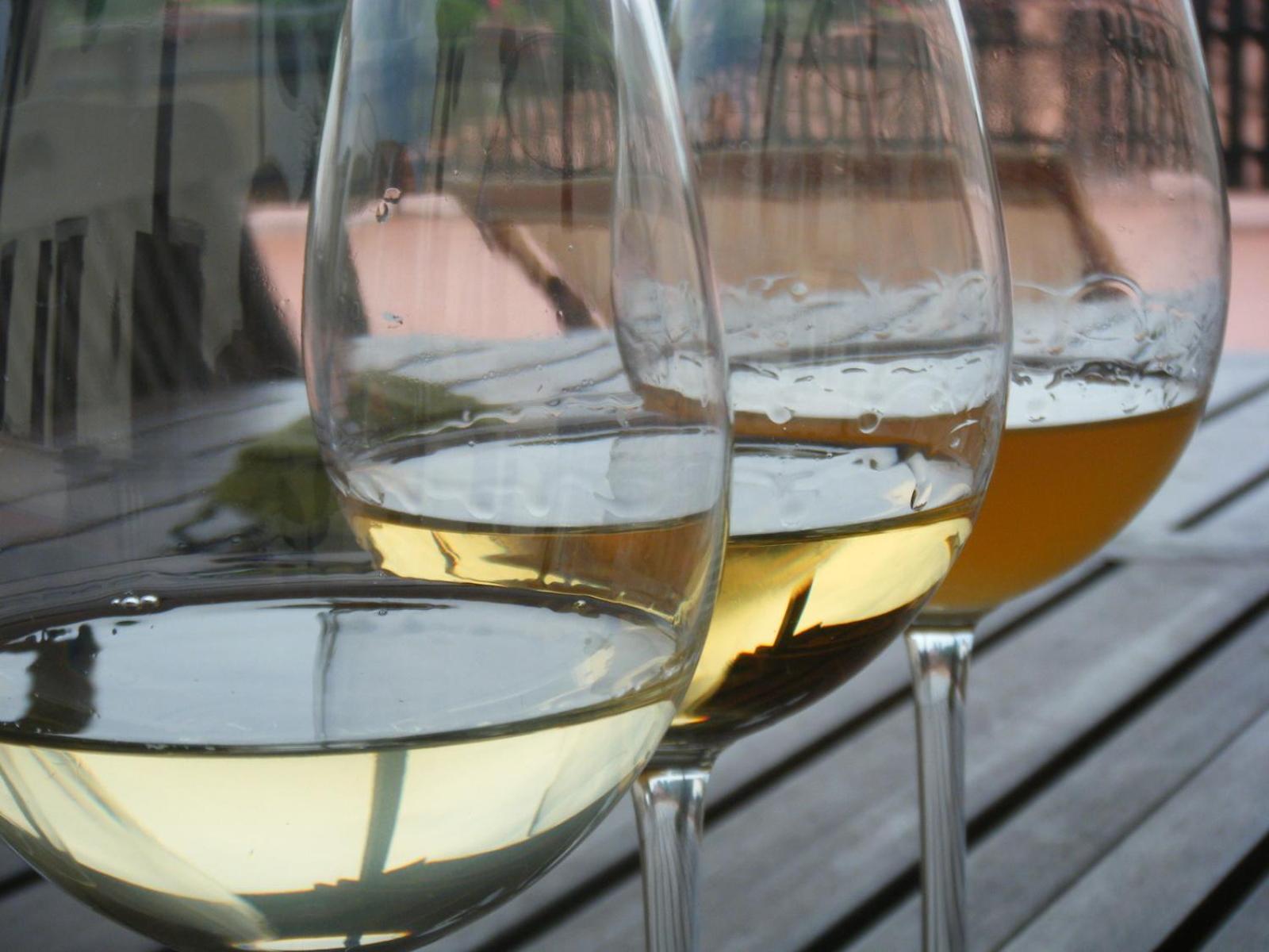 Agriturismo Grillo Iole Winery Prepotto  Экстерьер фото