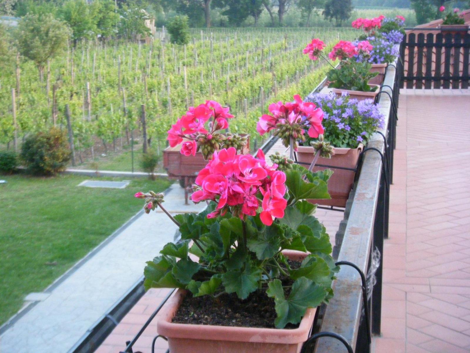 Agriturismo Grillo Iole Winery Prepotto  Экстерьер фото
